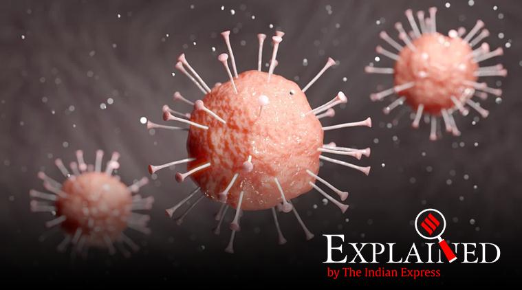 Explained: How SARS-CoV-2 behaves in a household setting