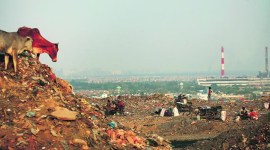 coronavirus, india lockdown, Ahmedabad municipal council, gujarat waste generation, gujarat solid waste generation, gujarat waste generation percentage in lockdown, indian express news