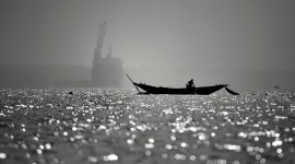 fotos for a cause, pandemic, fisherwomen fundraiser, indianexpress, indianexpress.com, fundraiser,