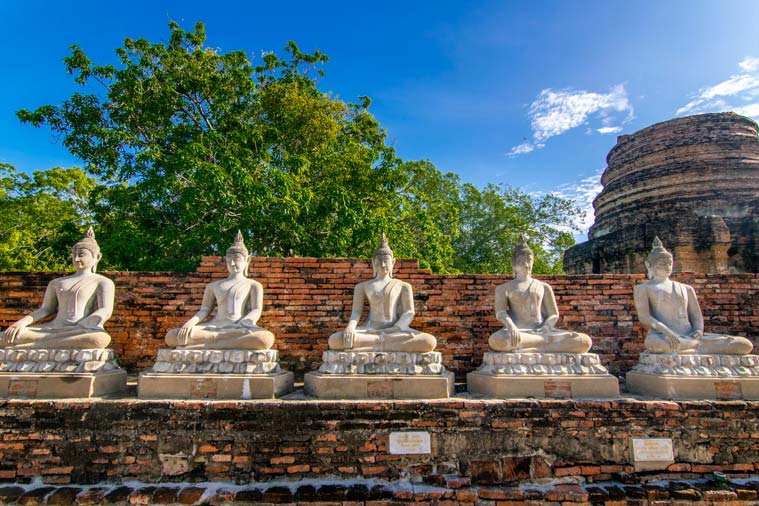 Ayutthaya Historical Park, Thailand, armchair travel, coronavirus, indian express lifestyle