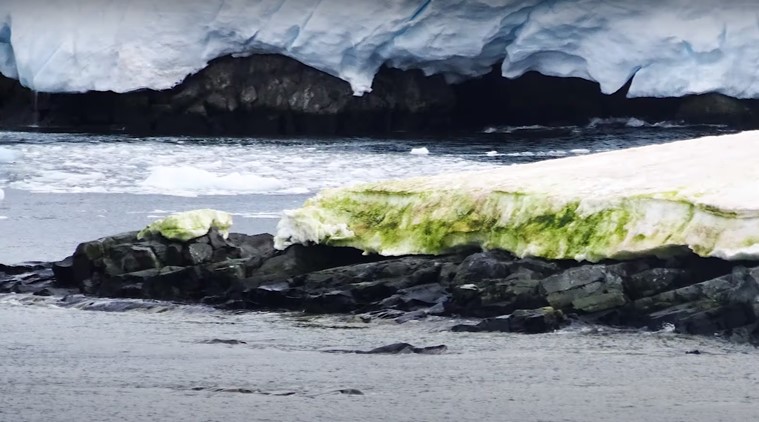 Antarctica global warming climate change 