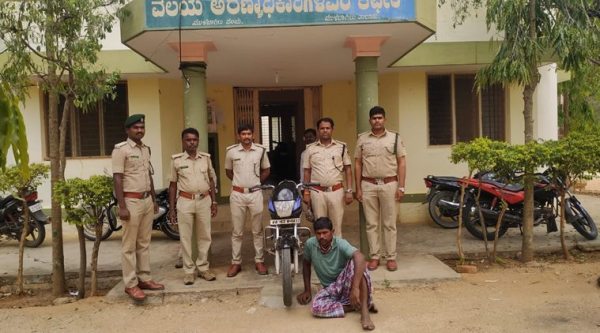 man bites snake, india man bites snake, Karnataka man bites snake, Bangalore man bites snake news, man bite snake news, snake man bite india