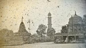 As the locusts fly in, memories, and fears, of a recurring ‘plague’