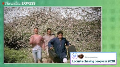 locust attack, locusts invasion, locust swarm tracker, locust attack india, locust attack videos, locusts attack memes, funny news, viral news, indian express