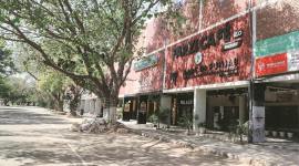 COVID-19 cases, Chandigarh curfew, VP Singh Badnore, Punjab Governor, Chandigarh containment pockets, Indian express news