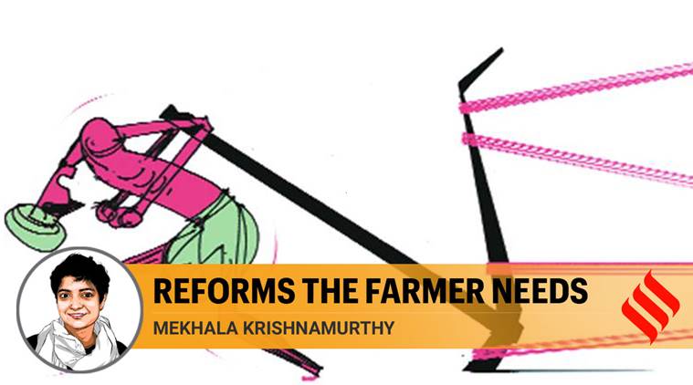 apmc reform law, agricultural produce market committee, what is apmc reform law, how does apmc reform law effect farmers, third economic package, agriculture, covid-19 relief fund farmers, coronavirus india, nirmala sitharaman