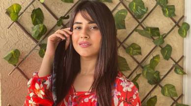 shehnaaz gill tiktok video on tareefan