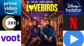 what to watch