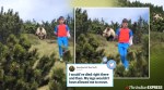 Viral Video: How a 12-year-old dealt with a wild bear during encounter in Italy
