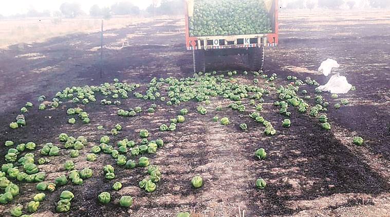 Stuck with surplus, vegetable farmers sell at throwaway rates