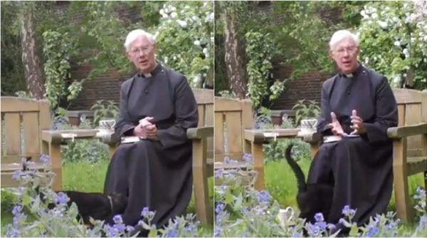 Canterbury Cathedral, cat interrupts priest sermon, cat photobomb priest sermon livestreaming, cat walks into priest cassock, funny cat videos, viral news, indian express