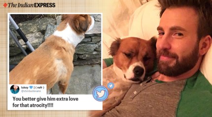 'Captain America' Chris Evans does a terrible job grooming his dog, netizens in splits