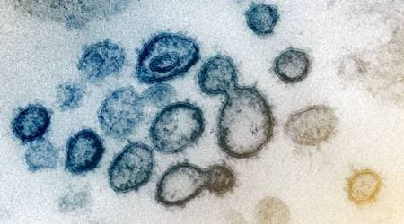 China’s new outbreak shows signs the coronavirus could be changing