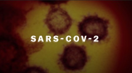Coronavirus, Explained review