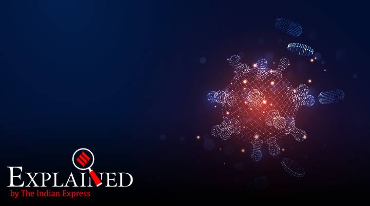 Explained: When does a disease become endemic?