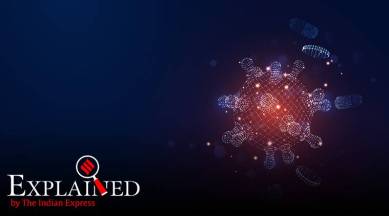 Explained: When does a disease become endemic?