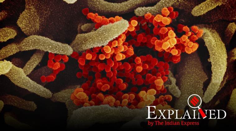 coronavirus, covid 19, covid symptoms, coronavirus symptoms, coronavirus updated symptoms, coronavirus attack central nervous system, coronavirus latest news, indian express news