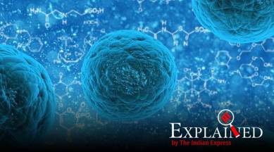 Explained: The search for a coronavirus vaccine