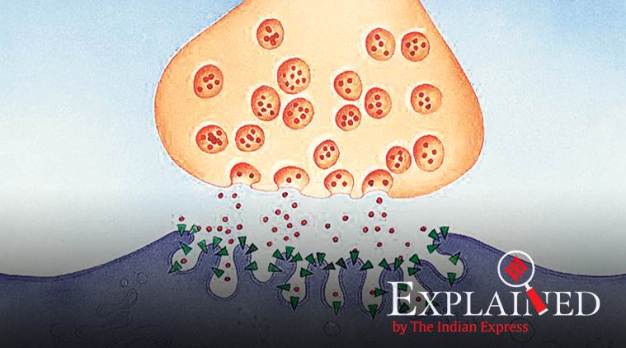 Does nicotine help fight COVID?