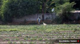 third Economic package, Govt on agriculture, relief fund for farmers, coronavirus, covid-19 relief fund farmers, coronavirus india, nirmala sitharaman, indian express