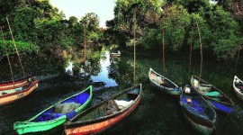 coronavirus, coronavirus in maharashtra, maharashtra lockdown, mumbai fish markets, mumbai sea food market, maharashtra fisherman package, indian express news