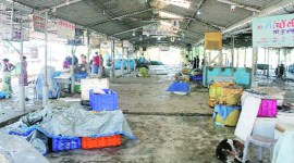 coronavirus, coronavirus in mumbai, mumbai fishing, mumbai fisherman, mumbai fish market, mumbai fishing ban, indian express news