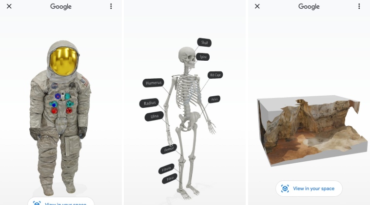 Google 3D Animals: Bawa lebih banyak hewan dan anatomi manusia ke rumah Anda 2