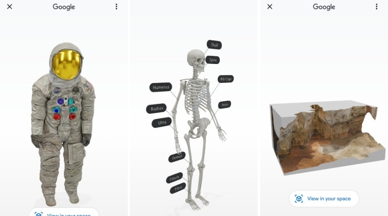 حيوانات ثلاثية الأبعاد من Google: اجلب المزيد من الحيوانات والتشريح البشري في منزلك 20