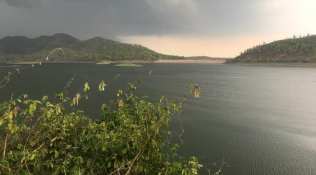 Home is where the work is: Writers and their workstations