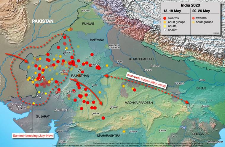 Locust attack: A joint fight by India and Pakistan, over the years