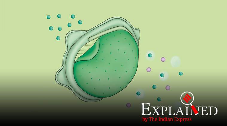 A replaceable nanoporous membrane attached to an N95 filters out particles the size of SARS-CoV-2. (Source: American Chemical Soiety)
