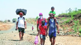 ,migrant coronavirus, india lockdown, migrant workers, migrant workers in maharashtra, migrant workers travel, indian express news