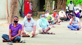 coronavirus, india lockdown, chandigarh lockdown, migrant workers, migrant workers in chandigarh, chandigarh migrant workers helpline, indian express news