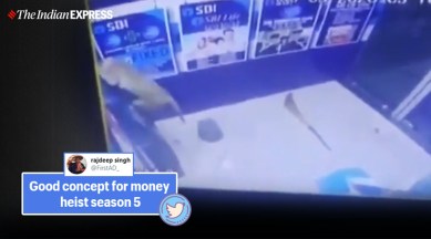 monkey in atm viral video, monkey, money viral video, money heist, monkey break atm viral video. delhi, delhi police, trending, indian express, indian express news