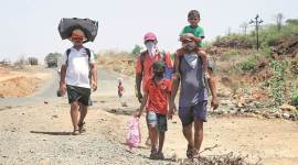 gujarat news, migrant workers walk back home, covid-19 lockdown, surat, bharuch, indian express