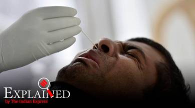 Explained: Can Covid-19 hit sense of smell?