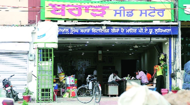 Second arrest in Ludhiana seed ‘scam’: Farmer who sold PAU seeds to Brar Store held