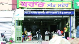 paddy seed scam, paddy scam karnal agri, paddy seed scam PAU