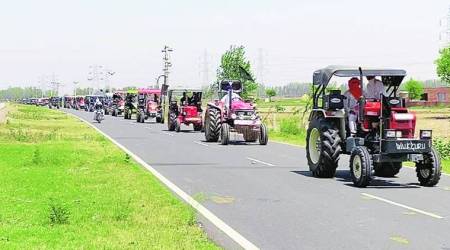 Angry farmers force rethink: Khattar govt softens paddy diversification order
