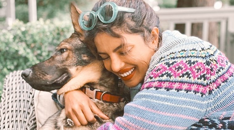 priyanka chopra news