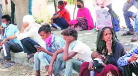 Grappling with govt rules, online forms, Panchkula migrants feel anguished, helpless