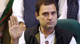 Rahul Gandhi, Bihar elections, Opposition alliance, Bihar news, indian express news