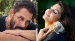 Farmhouse life with Salman Khan, Jacqueline Fernandez, Iulia Vantur and others