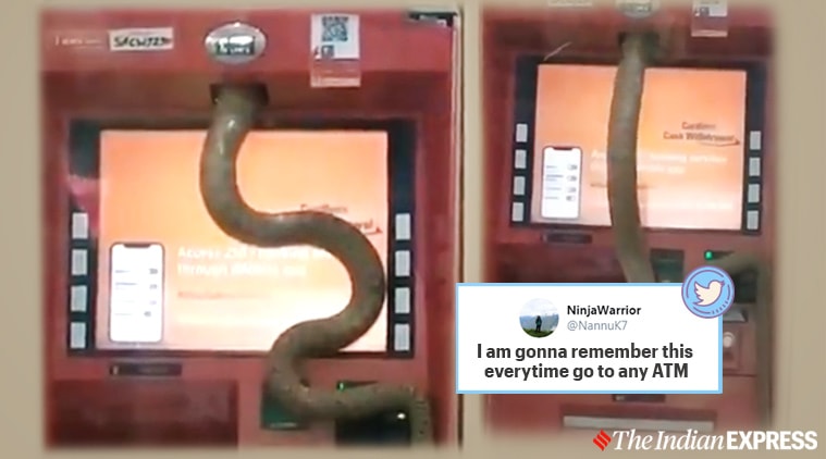 snake, snake atm viral video, snake atm delhi viral video, snake, snake videos, twitter, twitter reactions, 