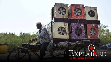 will coronavirus die in the summer