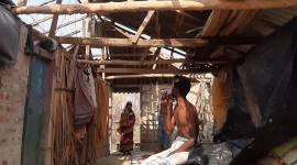 Sundarbans, tigers in sundarban, mangrove forests in india, Bay of Bengal, West Bengal latest news, Bangladesh news, tiger count in india, facts about sundarban, mangrove trees of west bengal, fishermen of west bengal, indian express bengal news