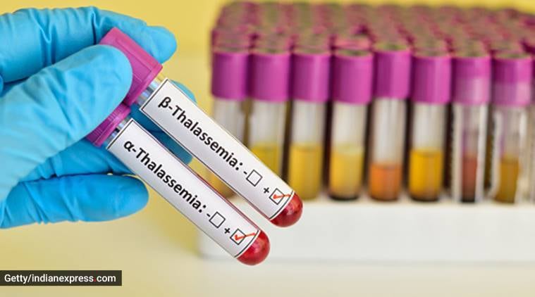 thalassemia, pregnancy