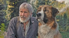 top 10 Hollywood movies of 2020