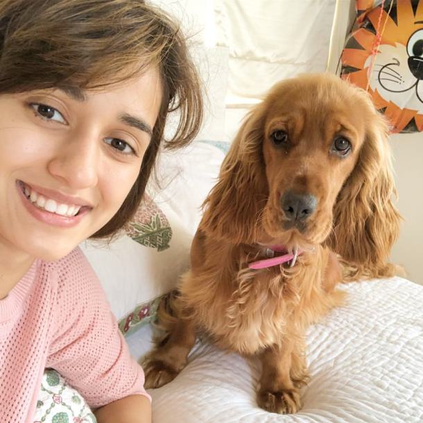 disha patani pets