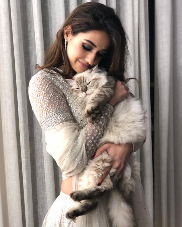 disha patani photos